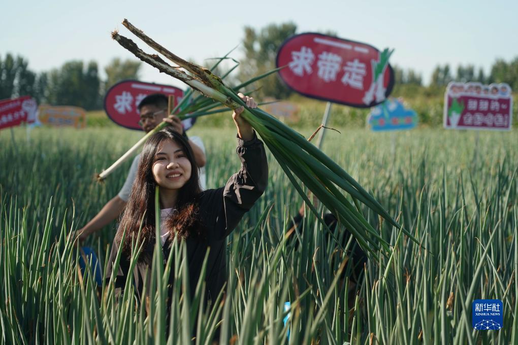 皇冠同级别